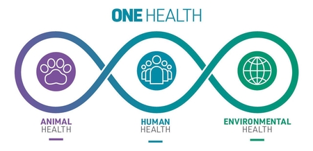 05d4e546 one health une seule sante coronavirus sars cov 2 covid 19 epidemiologie sante publique vison animal