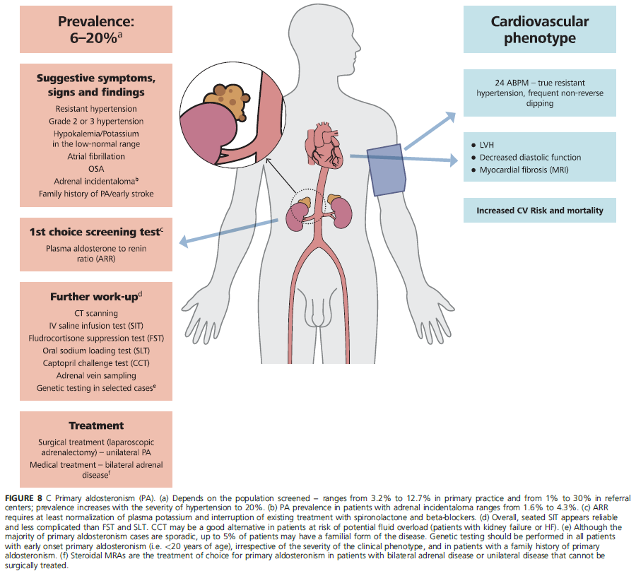 recommandations 2023 prise en charge hta 14 hyperaldost primaire