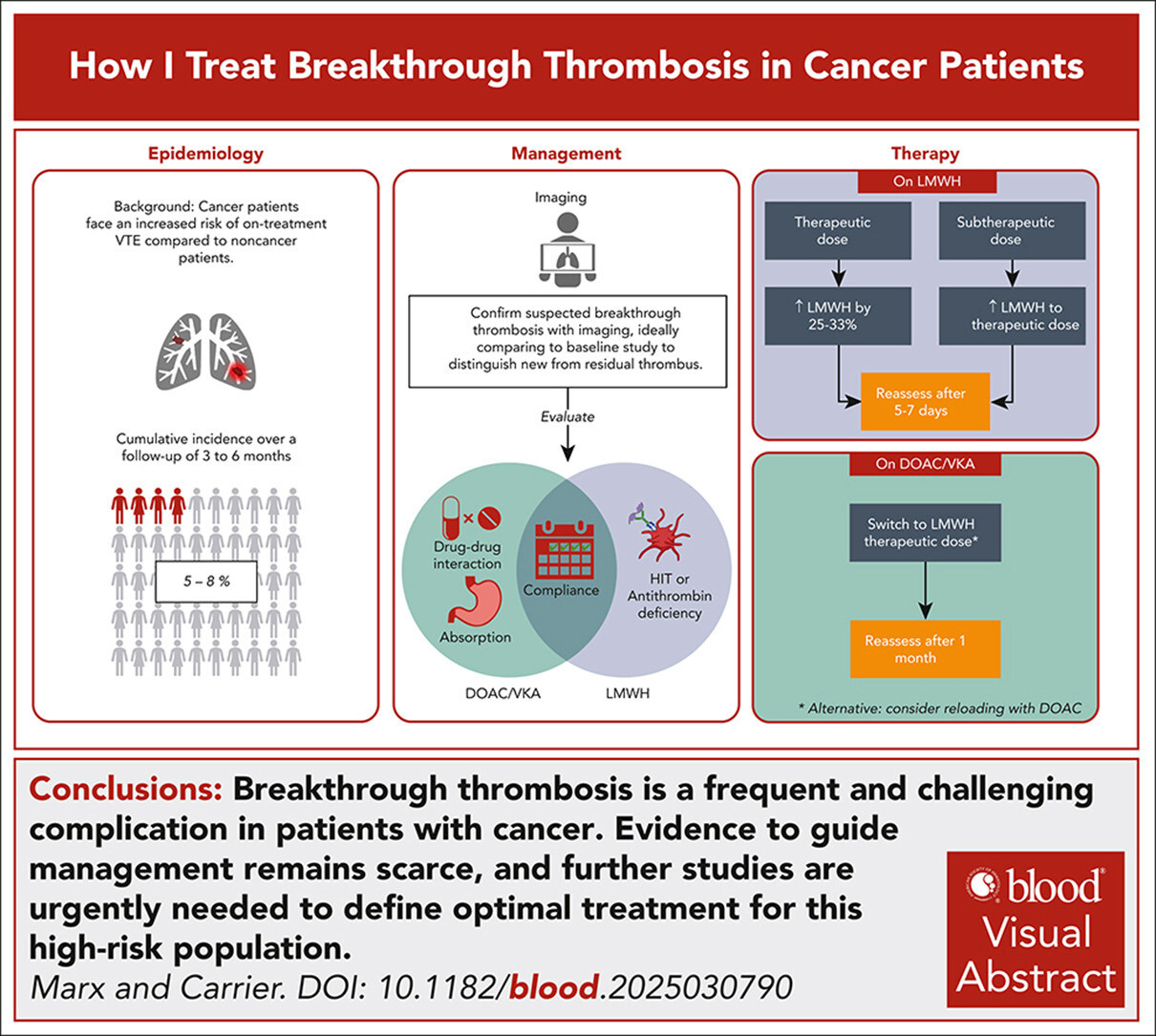 1 s2.0 S0006497126001242 BLOOD BLD 2025 030790 C ga1 lrg