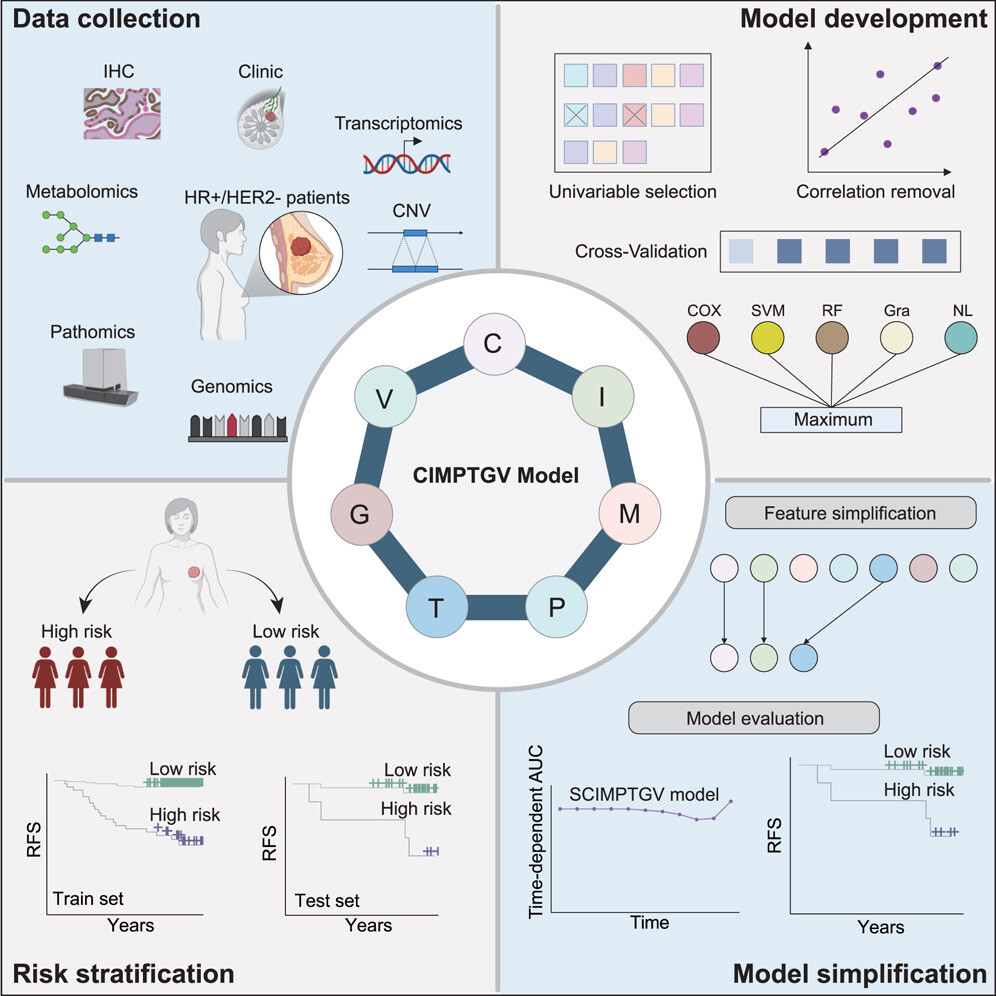 1 s2.0 S2666379124006955 fx1 lrg