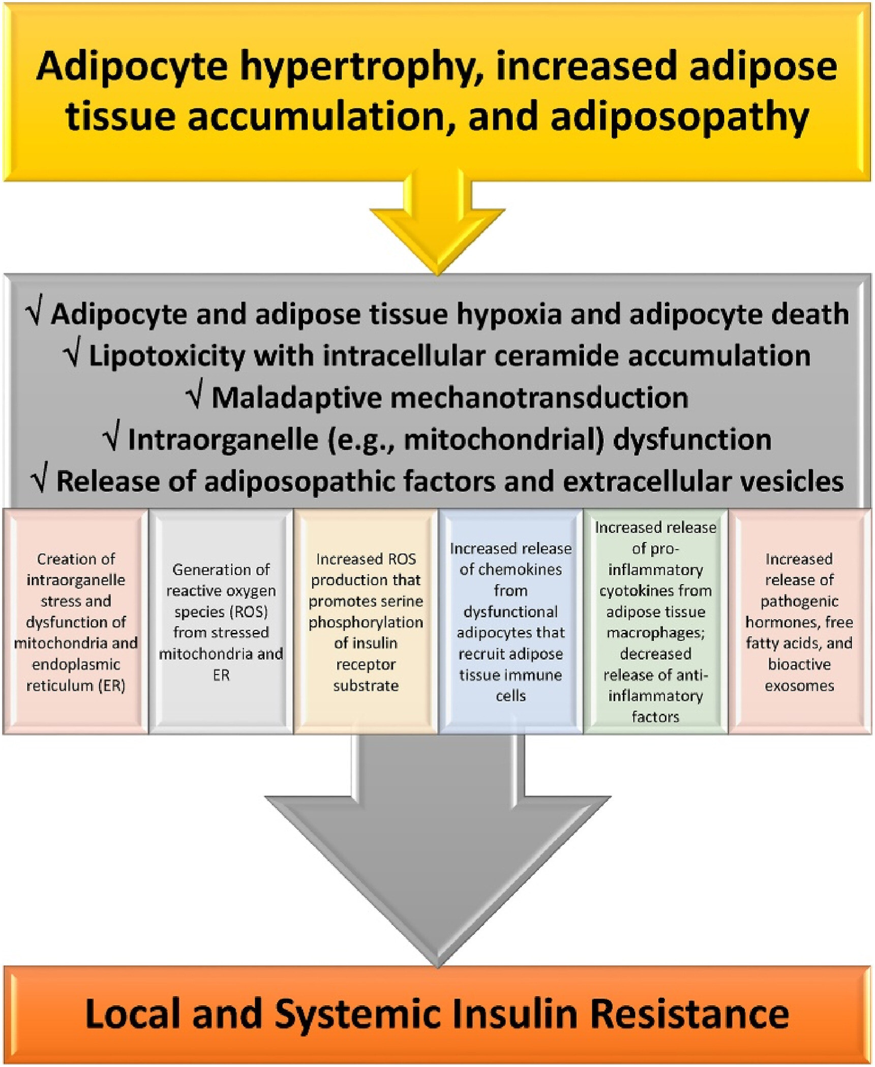 1 s2.0 S266736812400010X gr7 lrg