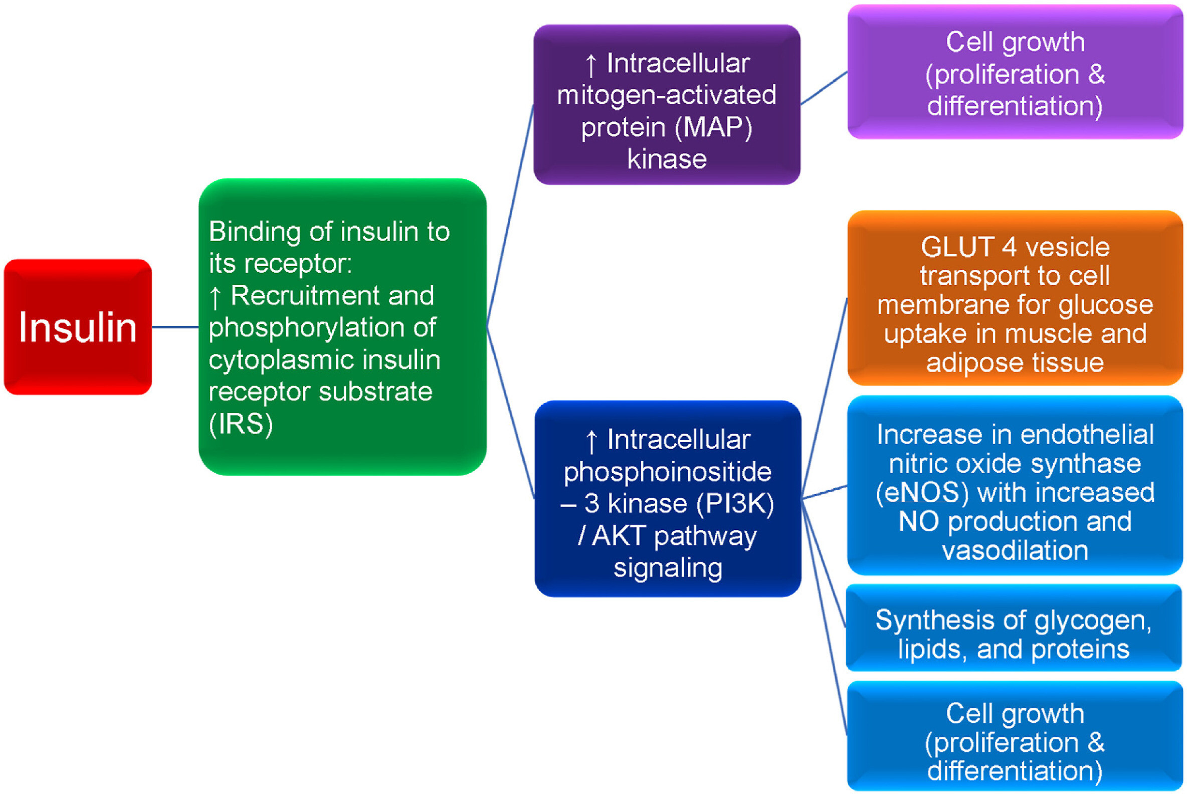 1 s2.0 S266736812400010X gr8 lrg