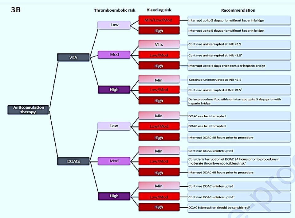 DENT6