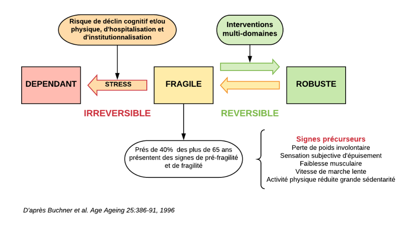 FRAFRAGILE