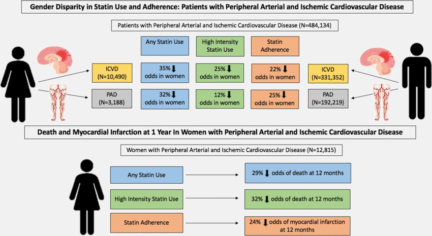 Gender based disparities in statin use and adherence among women with PAD and ICVD and