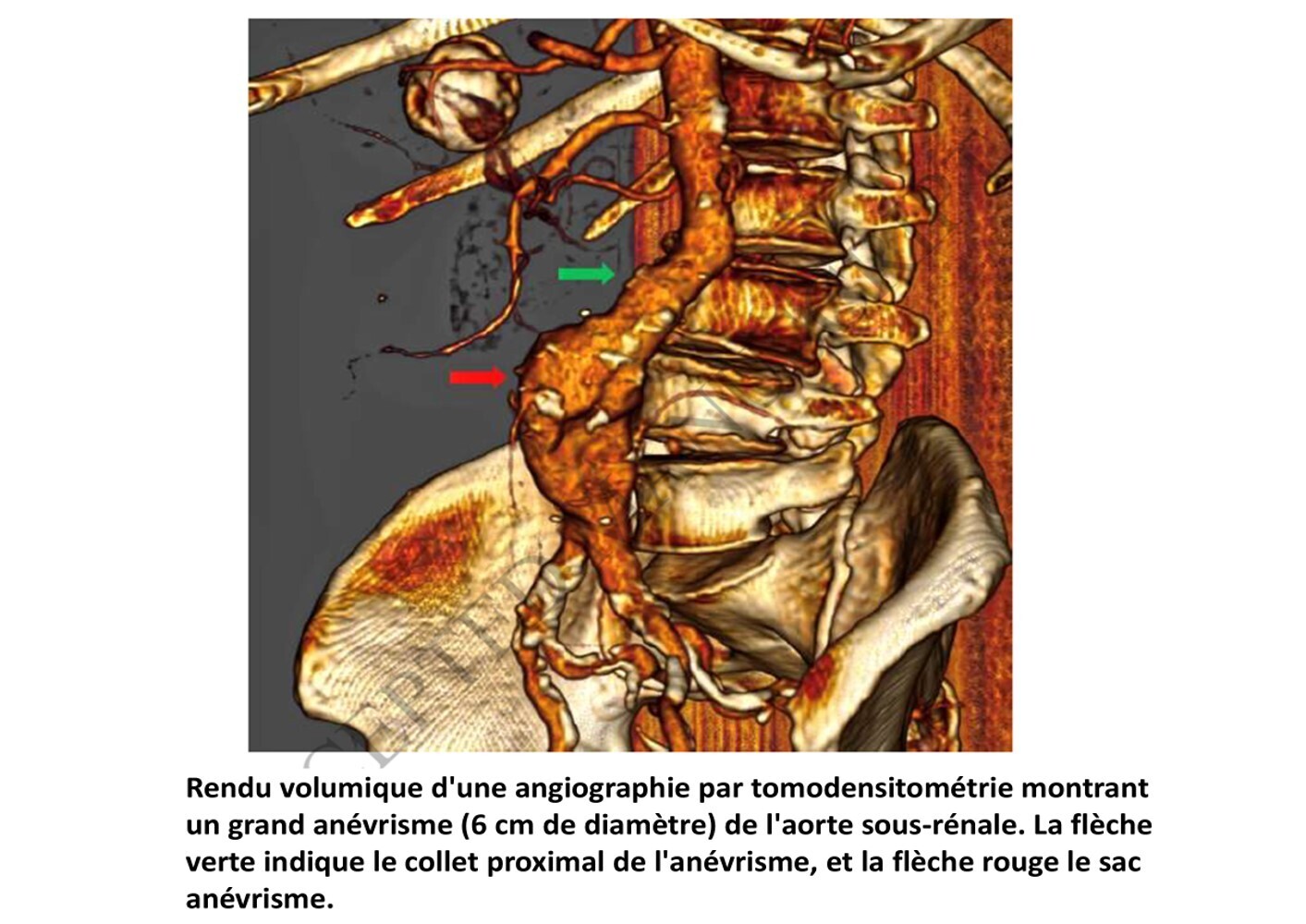 IMAGERIE3