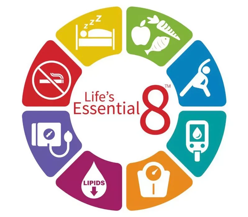 Le concept de sante cardio vasculaire preventive Life s Essential 8 un nouveau score pour se tester et agir 464 1