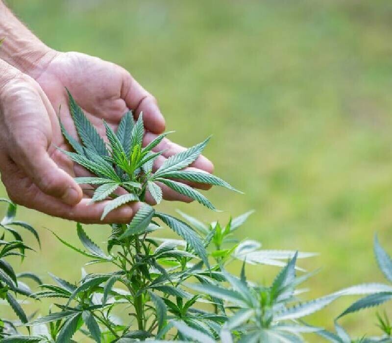 Nouveau projet 2024 01 25T131859.745