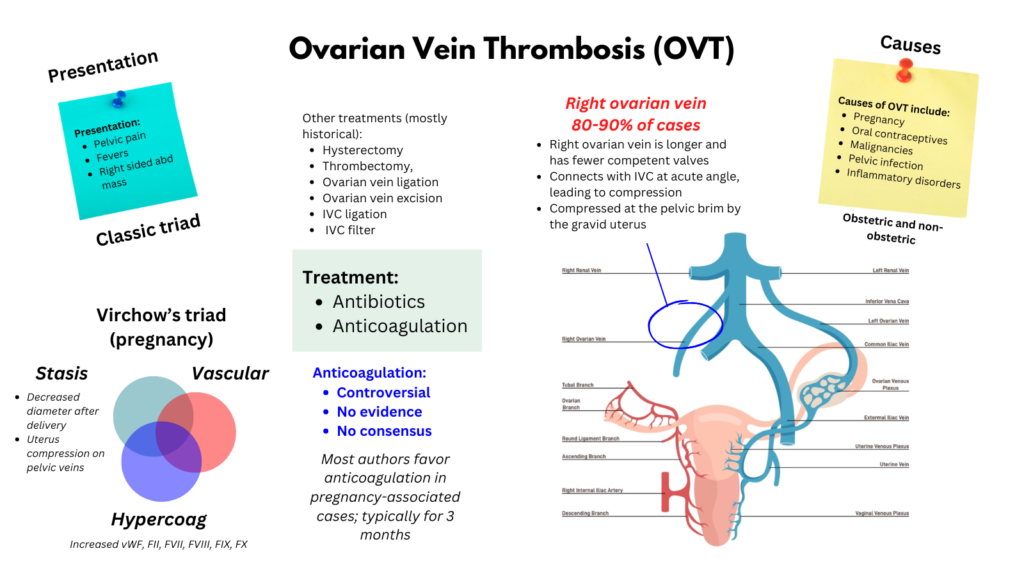 OVT2 1024x576