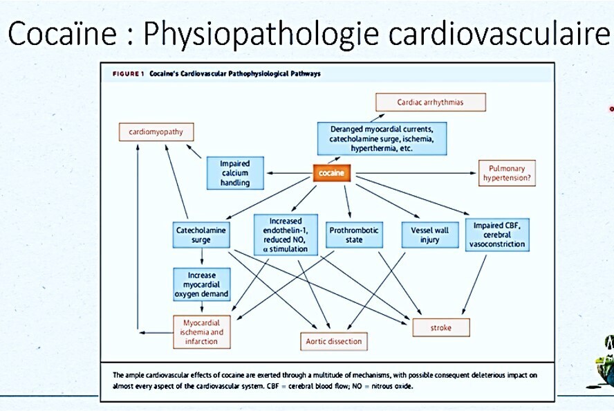 PHYSIOP