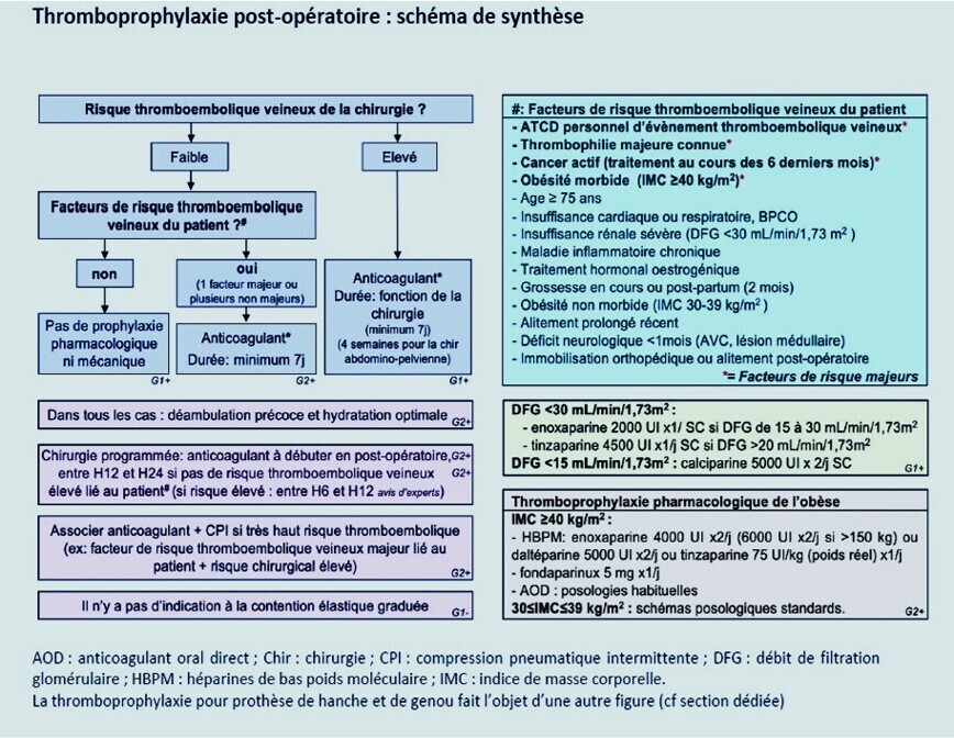 SFA6