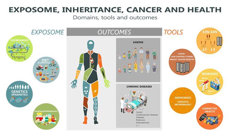 exposome inheritance visuel