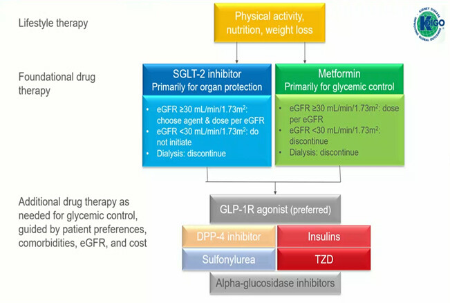 easd 2020 renal data fig 8 strategie diabete kdigo