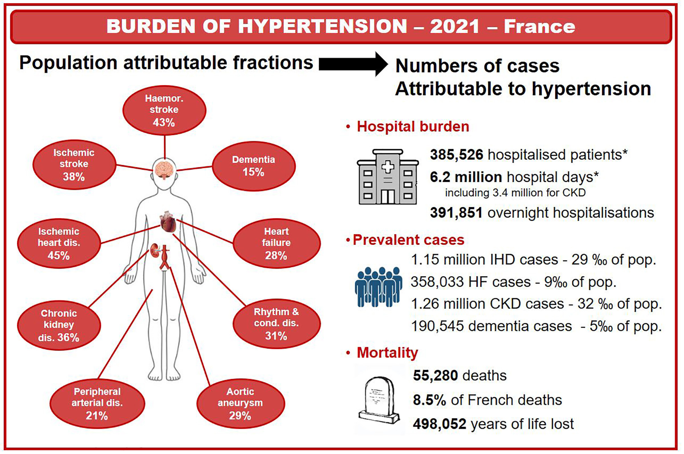 hypertensionaha.124.23760.fig04