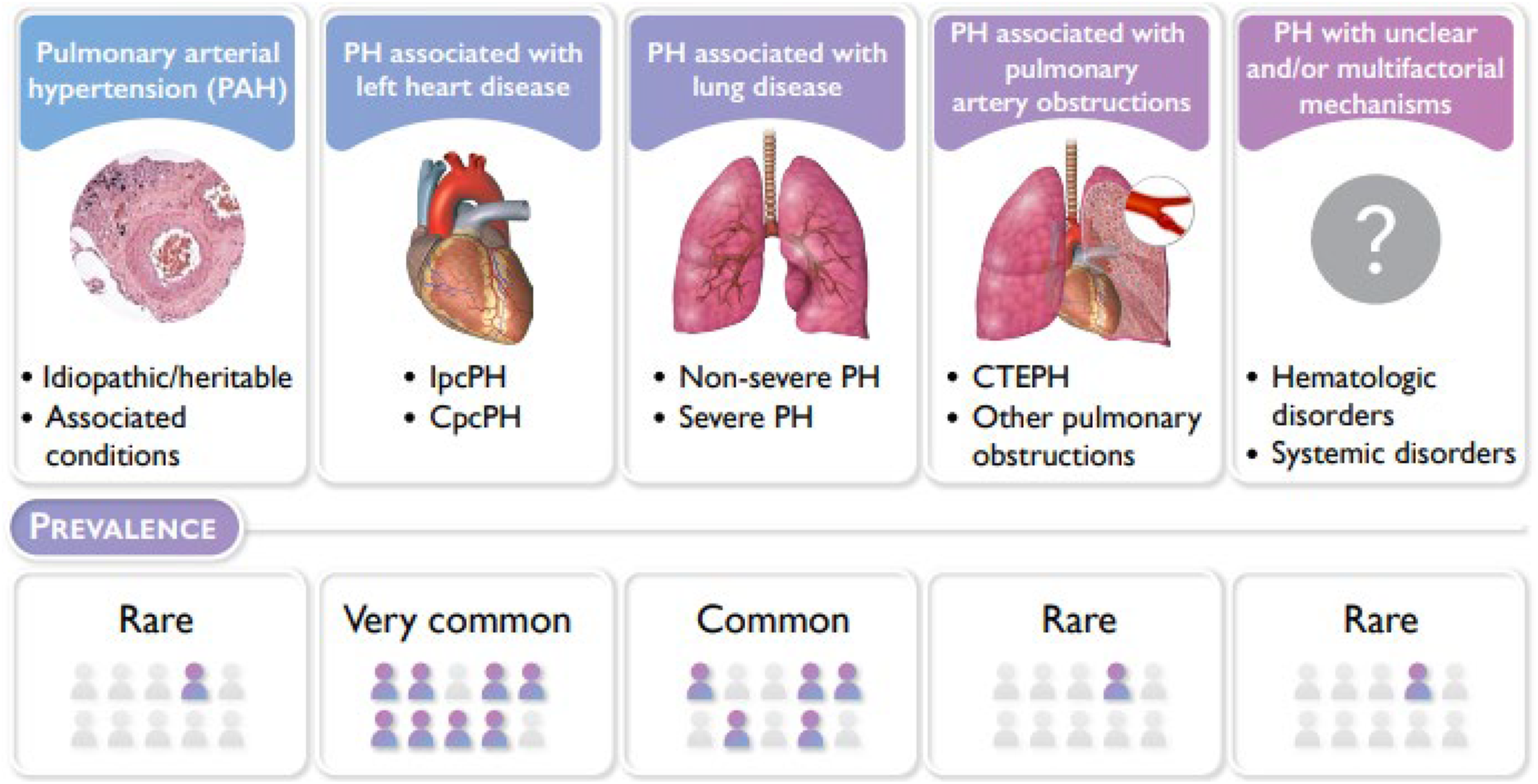 5-types-of-pulmonary-hypertension-vrogue-co