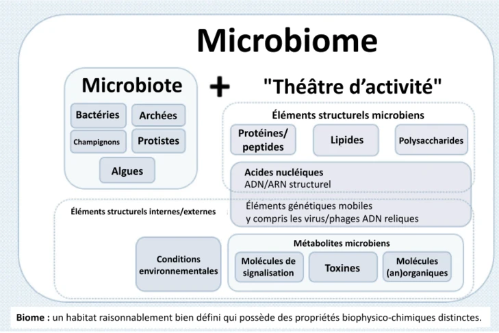 large hero d0743d10 cb8d 42ef 893a f67541326ecd