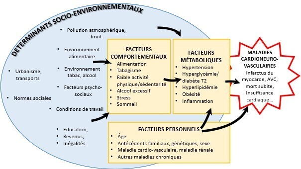 mcv fig1
