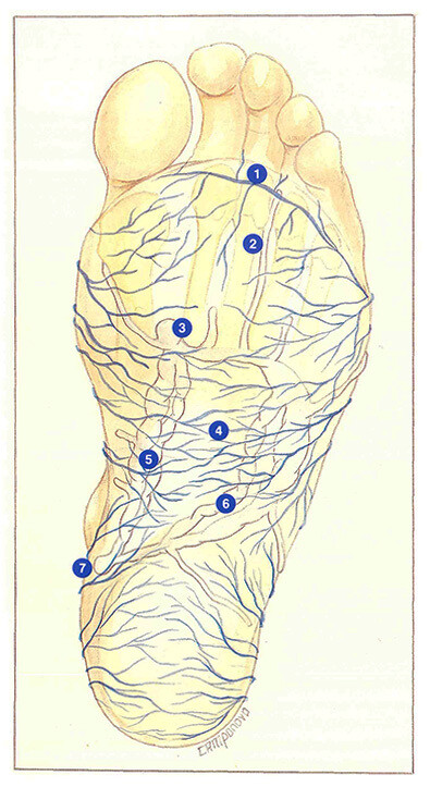 page 141 fig 110