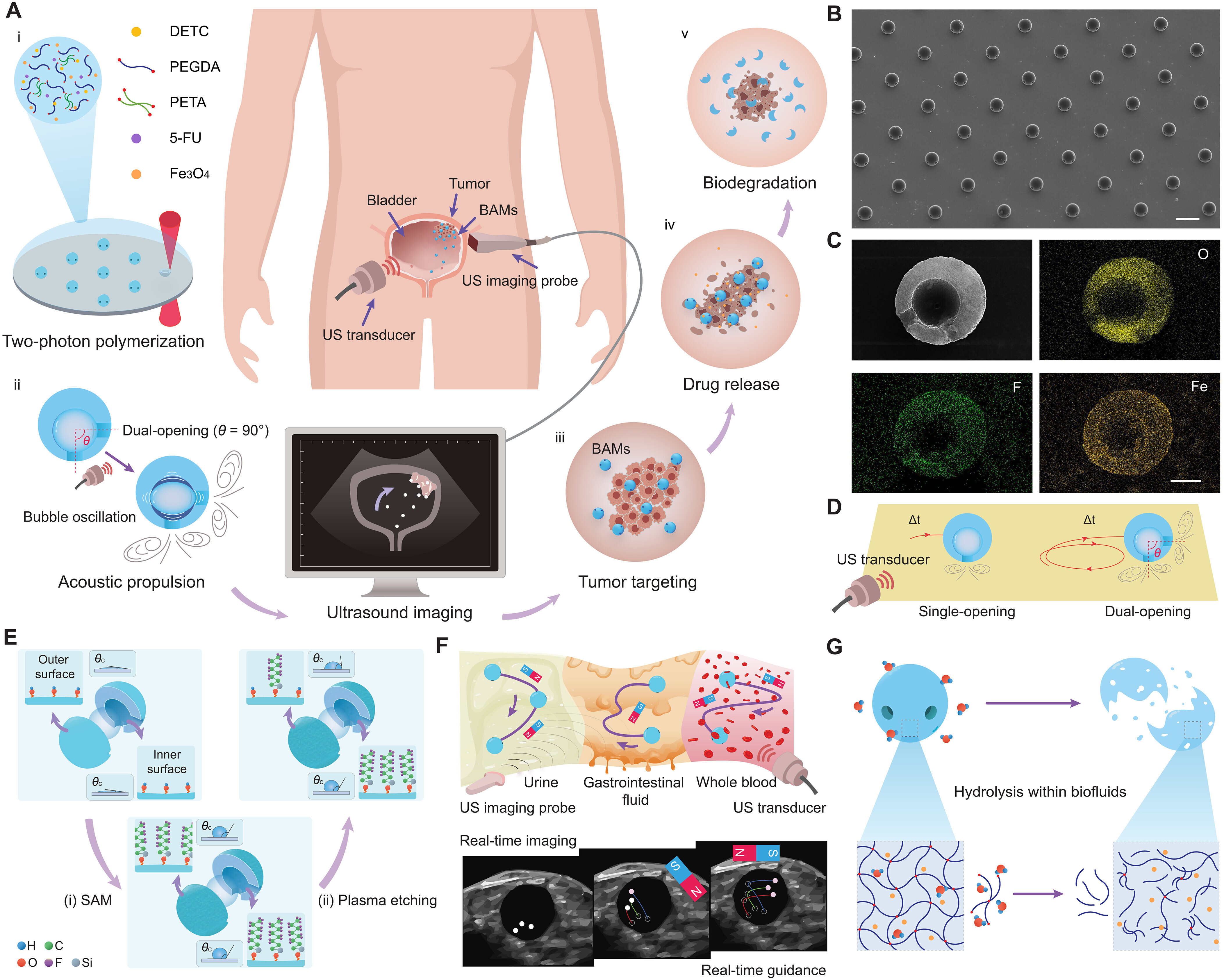 MEDVASC Microrobots Et Traitement