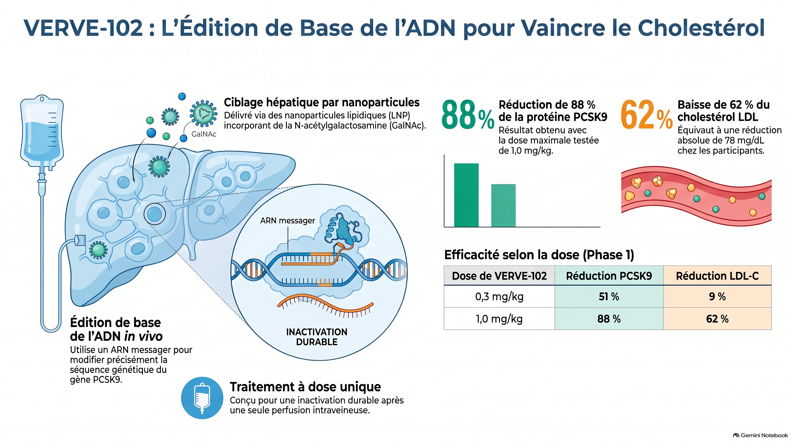 Édition génomique contre le cholestérol