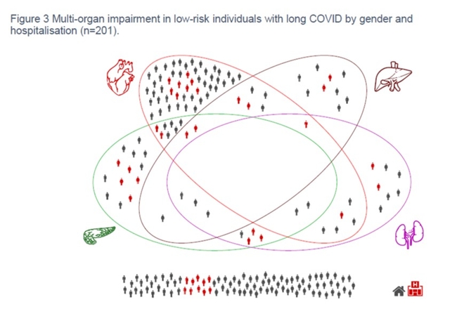 evolutiooragne3