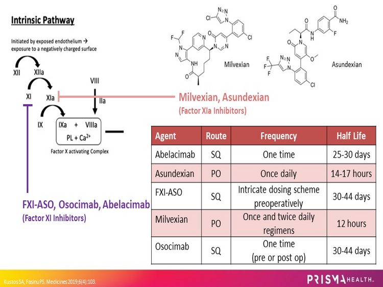 ANDEXXAN1