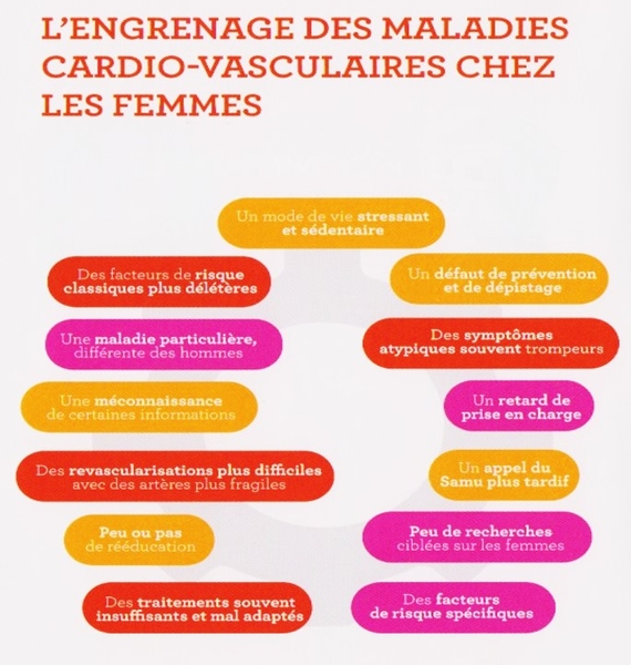 La cardiologie au féminin