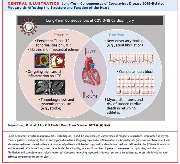 CARDIOLONG4