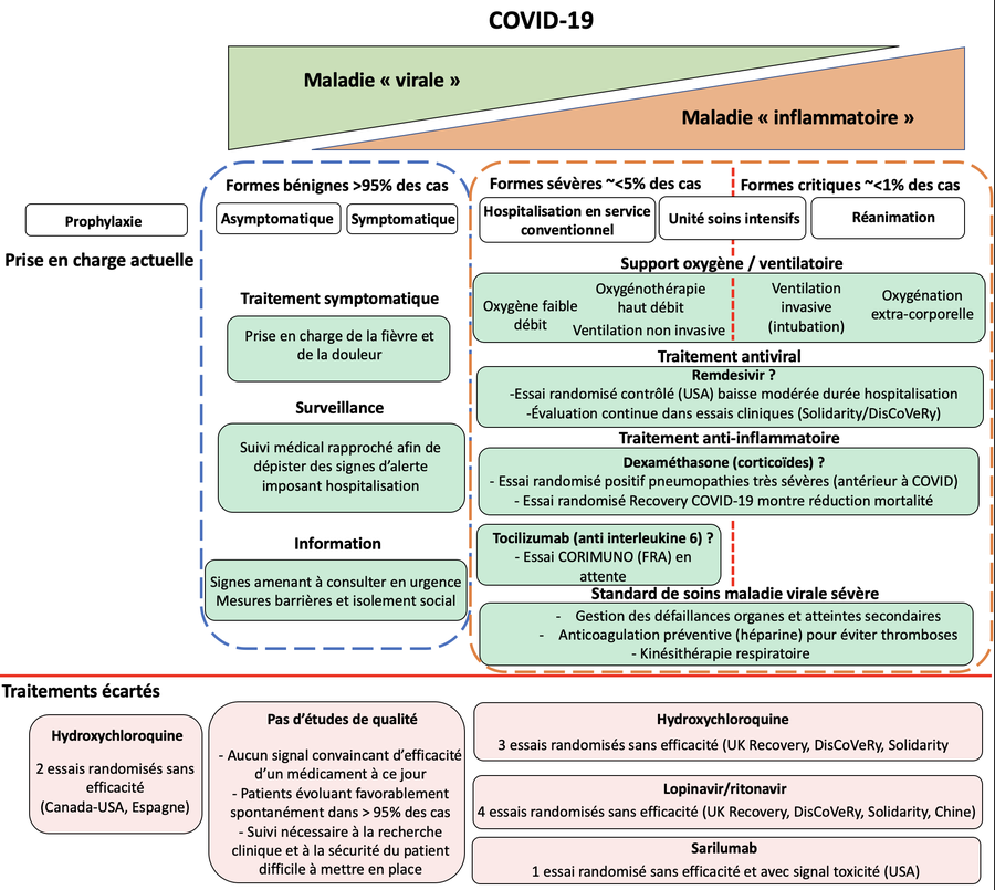 Covid-19 :  trois synthèses