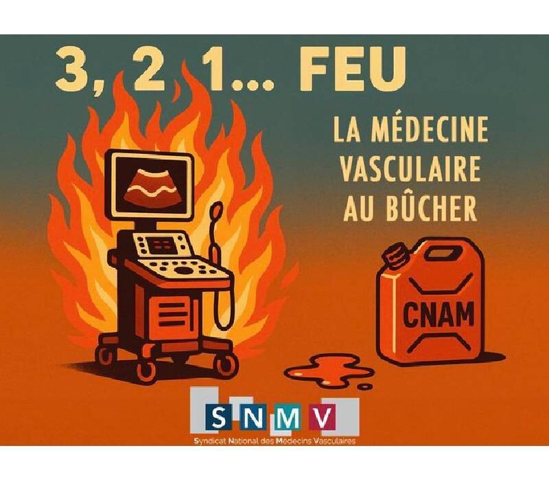 DECOTATION MEDECINE VASCULAIRE : un 49/3 déguisé