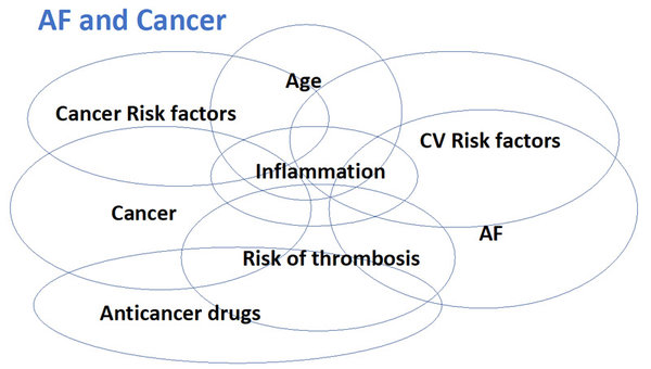 Figure 1 Interaction entre cancer et risque de FA et de ses complications reference
