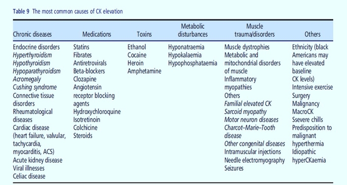 ILEP11