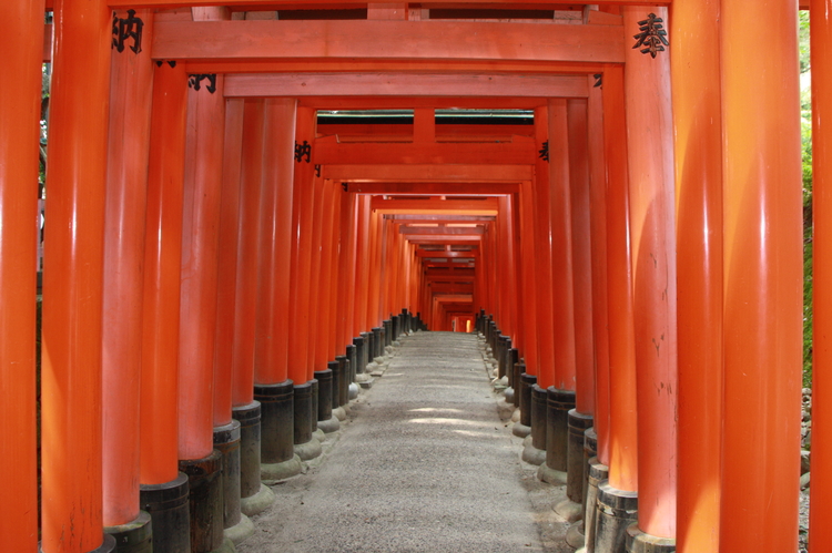 COVID-19 , le "tunnel" de Fushimi Inari Taisha