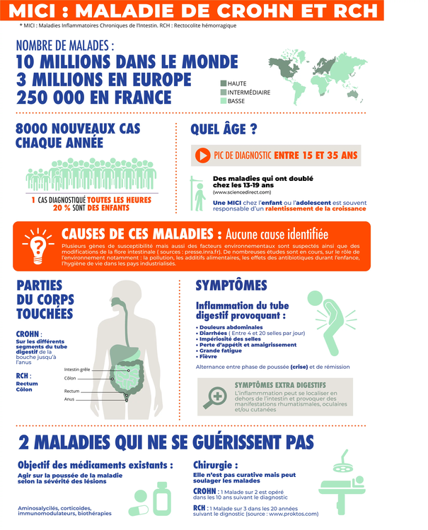 INFOGRAPHIE 2020MICI