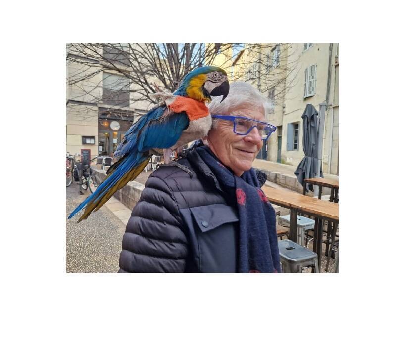 Dr Jean Pierre Laroche , Médecin Vasculaire, exerçant en Avignon, 84 semestres d'exercice