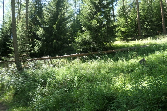 Nature et Médecine : photos de vacances