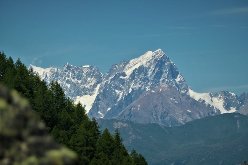 Vaisseaux et Nature : TSAO (1)