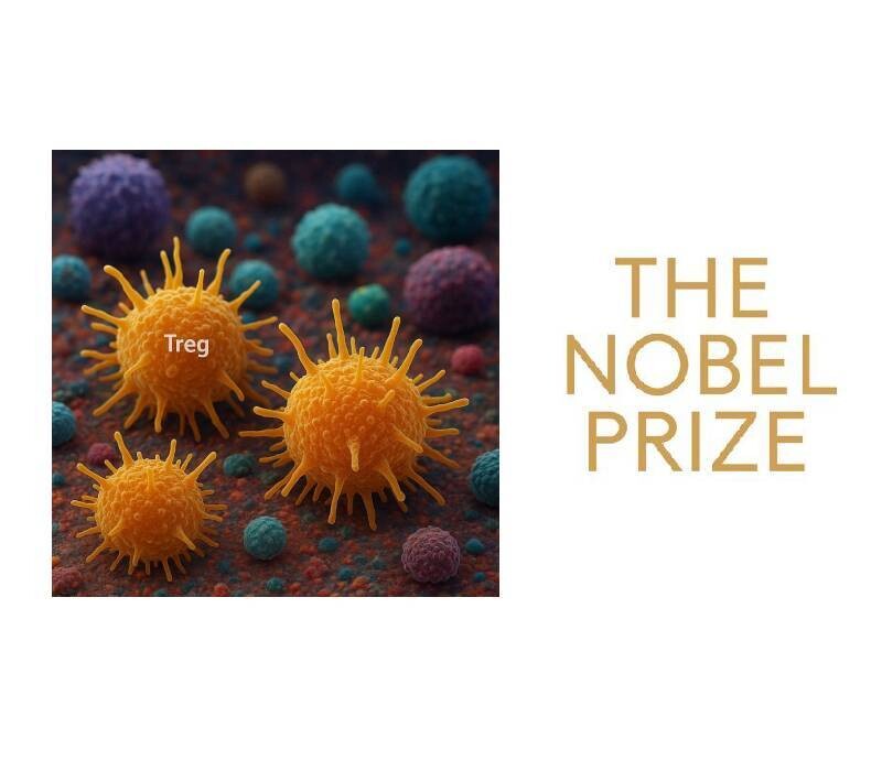 Interview de Shimon Sakaguchi (Prix Nobel de Médecine 2025) 