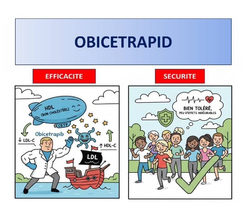 Efficacité et sécurité de l'Obicetrapib