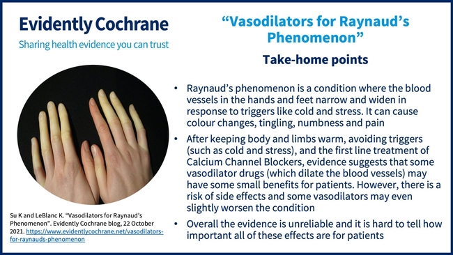 Su LeBlanc. Vasodilators for Raynauds Phenomenon blog Take home points. Oct 2021 2048x1152