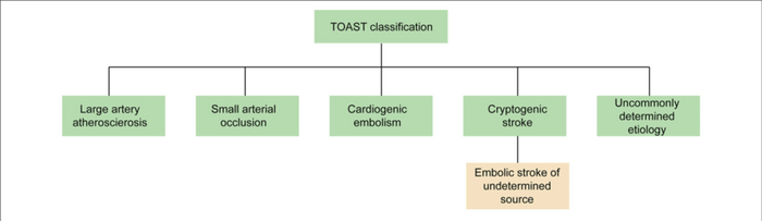 The classification of IS in TOAST The term ESUS is a more specific and clinically