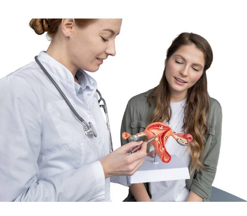 Saignements utérins anormaux et troubles de la coagulation