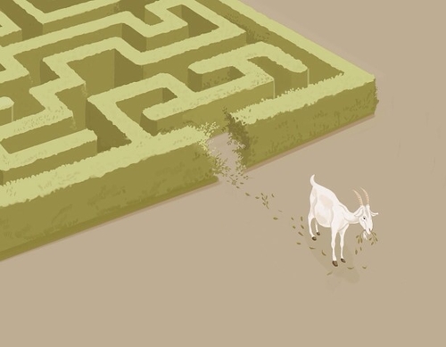 Une chevre dans un labyrinthe