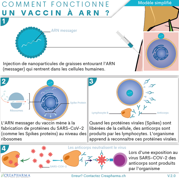 Vaccin arn V 2 0 1