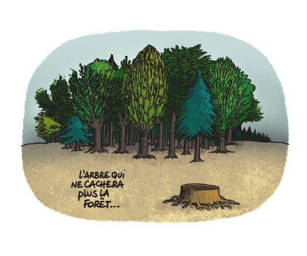 MEDVASC.INFO : Le moteur de recherche pour la MEDECINE VASCULAIRE.