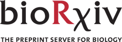 bioRxiv logo homepage