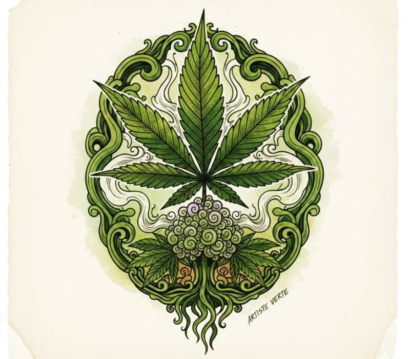 Cannabis : attention danger ! 