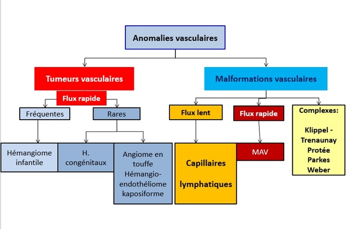 clasissvissva