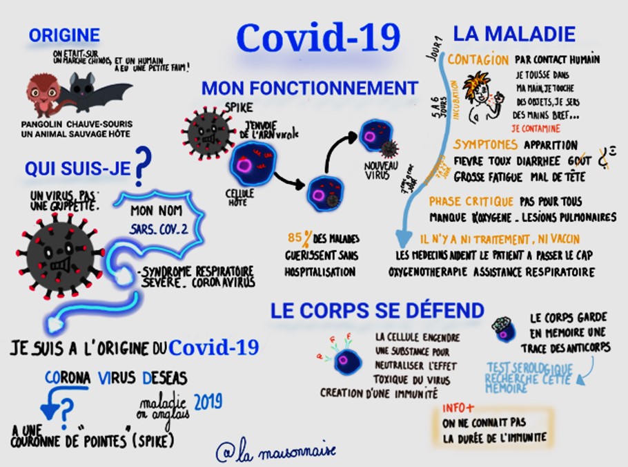 COVID-19 : un dessin didactique