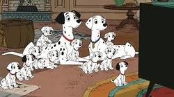 dalmatiens